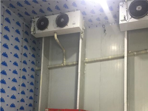 巴中专业速冻冷库设计