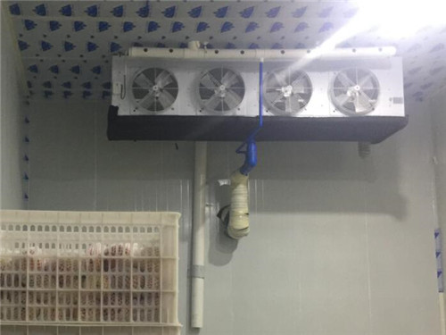 自贡专业保鲜库价格