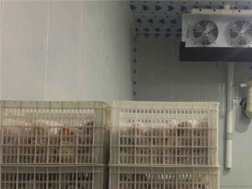 宜宾大型水果保鲜库设计