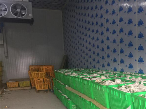 巴中专业食品冷库安装