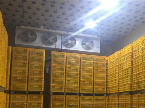 云南专业速冻冷库价格