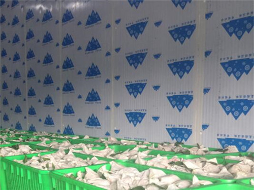 四川专业蔬菜保鲜库设计