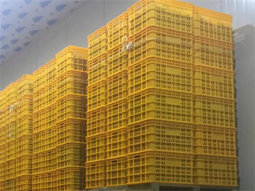 自贡专业保鲜库价格