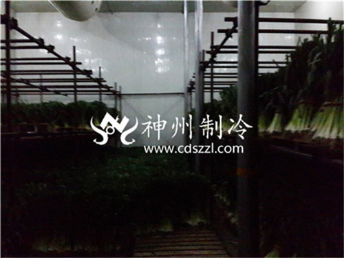 四川专业蔬菜保鲜库设计