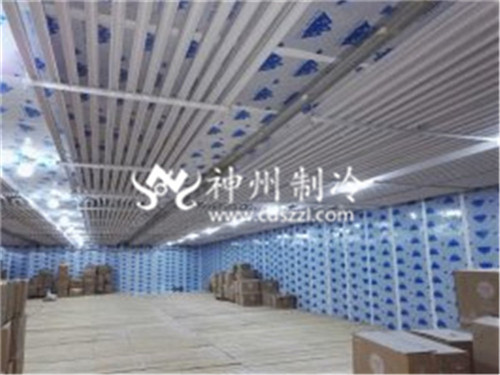 巴中专业速冻冷库设计