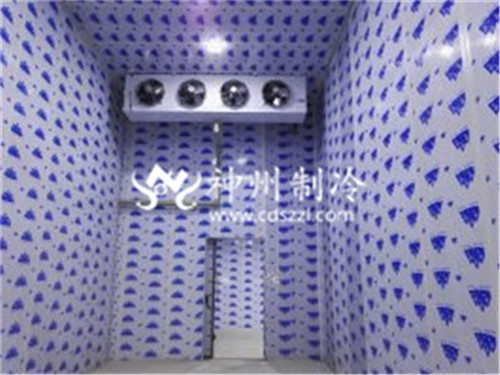 巴中专业速冻冷库设计
