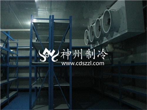 巴中专业速冻冷库设计