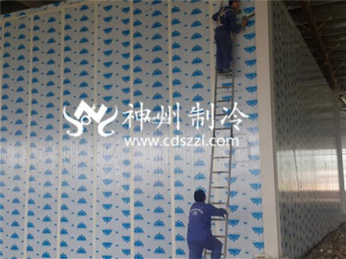 青海小型冻库价格