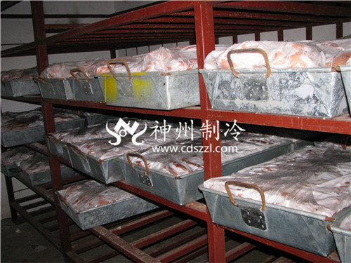 绵阳大型食品冷库设计