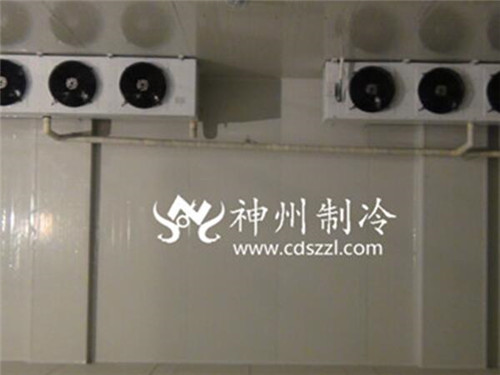 云南专业速冻冷库价格