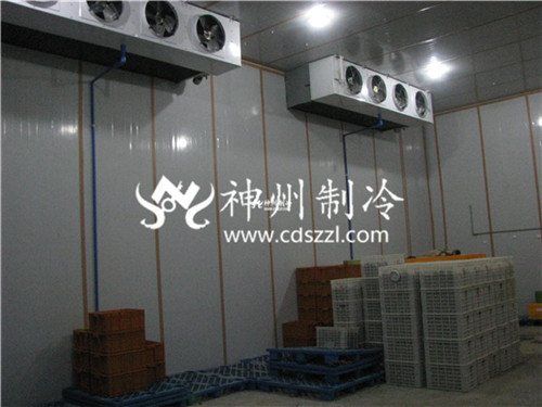 巴中专业食品冷库安装