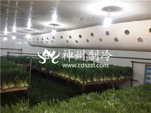 绵阳大型食品冷库设计