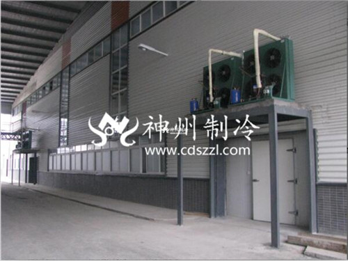 自贡专业保鲜库价格