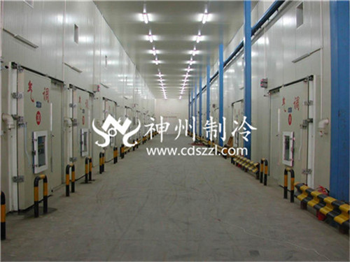 成都冷库建造:冷链物流的坚实堡垒 成都冷库建造:冷链物流的坚实堡垒