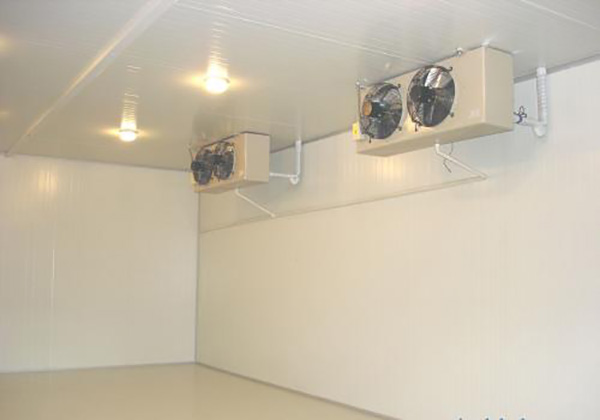 不同类型冻库的建造特点：满足多样化需求